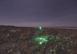 LEDlenser MH11 Rechargeable LED Head Torch Black 10 - 1000lm -Fashion Lamps 316RG A4