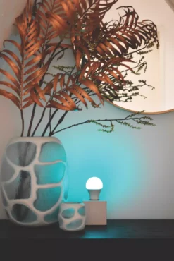 Calex Smart BC A60 RGB & White LED Light Bulb 9.4W 806lm -Fashion Lamps 647PY A3