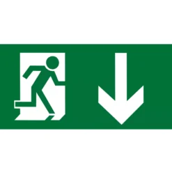 Aurora EN-LG2D Emergency Exit Down Legend 145 X 290mm